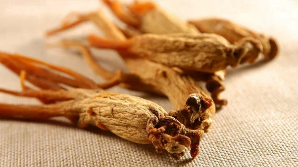 Red Ginseng