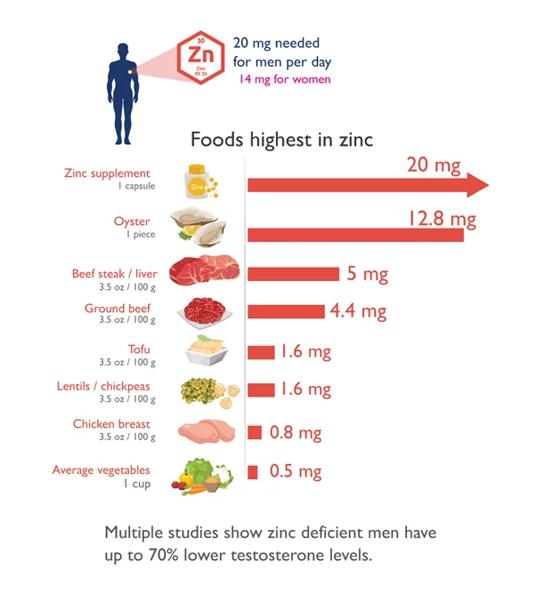 zinc and testosterone