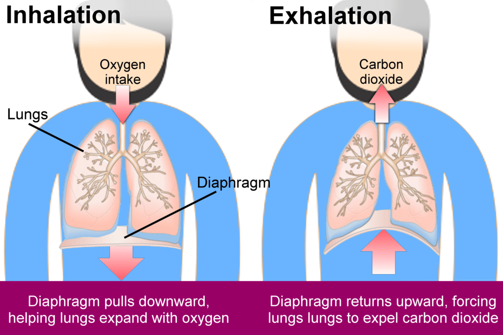 breathing exercise for stopping your cum