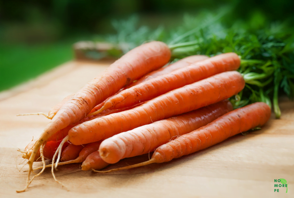 carrots for premature ejaculation