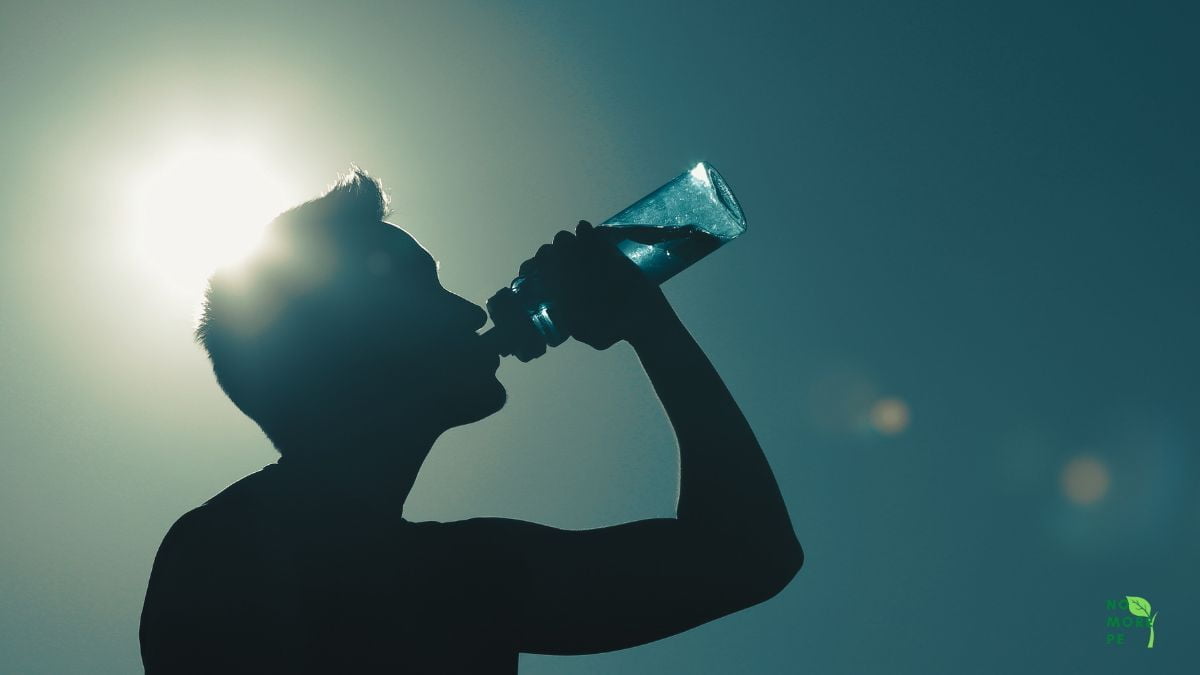 Can Drinking Water Make You Sleep