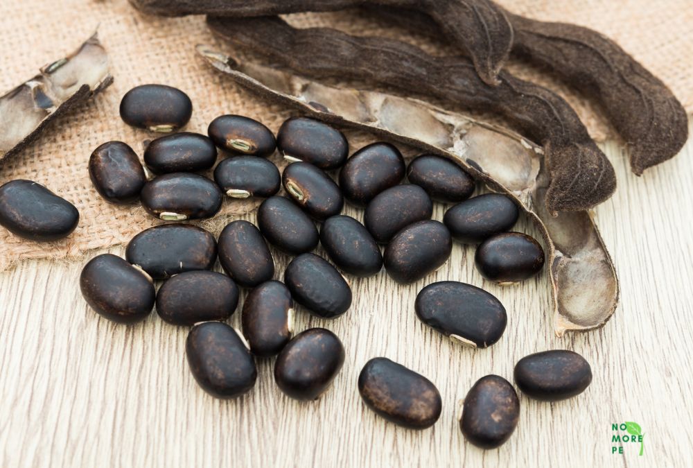 Mucuna pruriens