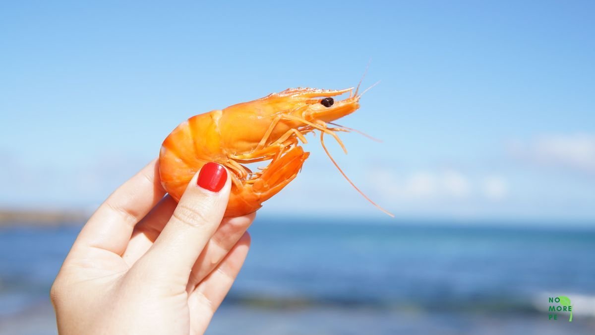 woman holding a shrimp in her hand