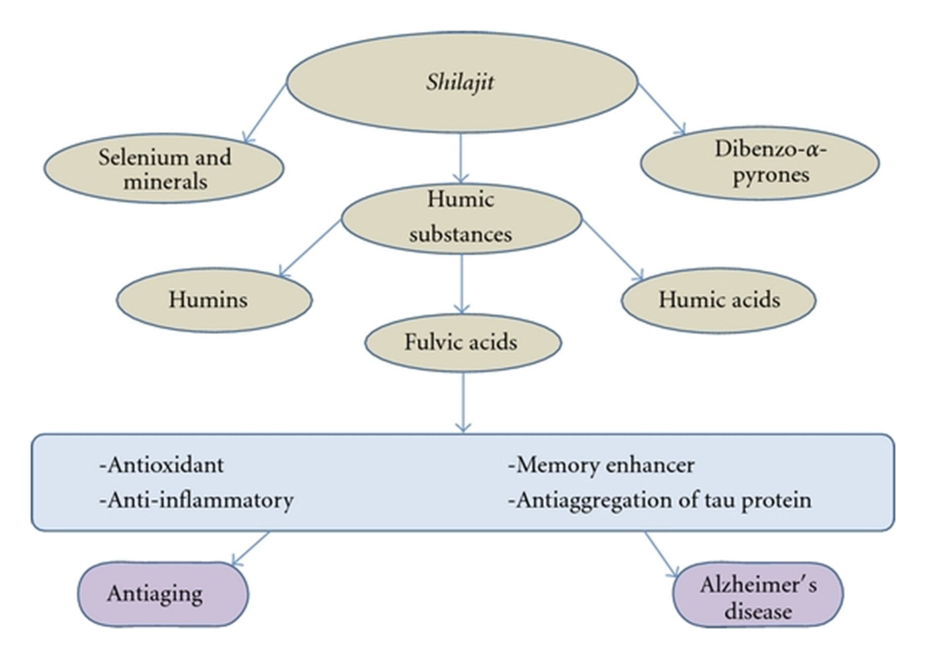 Shilajit benefits