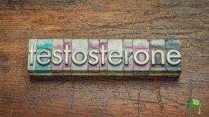 Testosterone