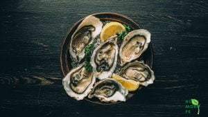 oysters in plate